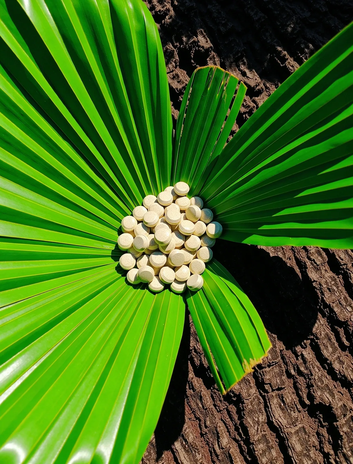 Tropical botanical textures